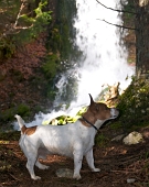 14 Cascata di Lovareno - foto Fulvio